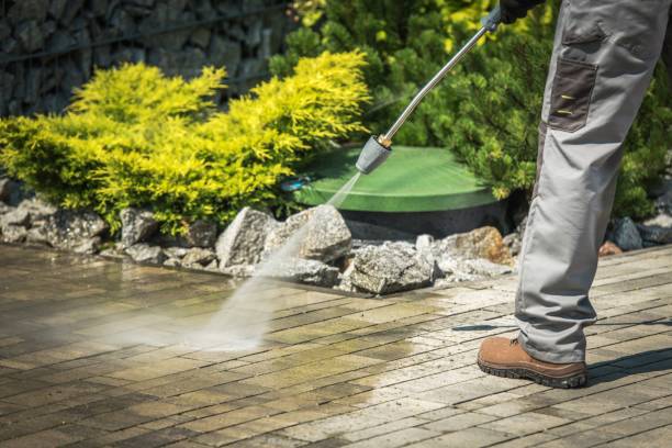 Best Sidewalk and Walkway Cleaning  in Spartanburg, SC